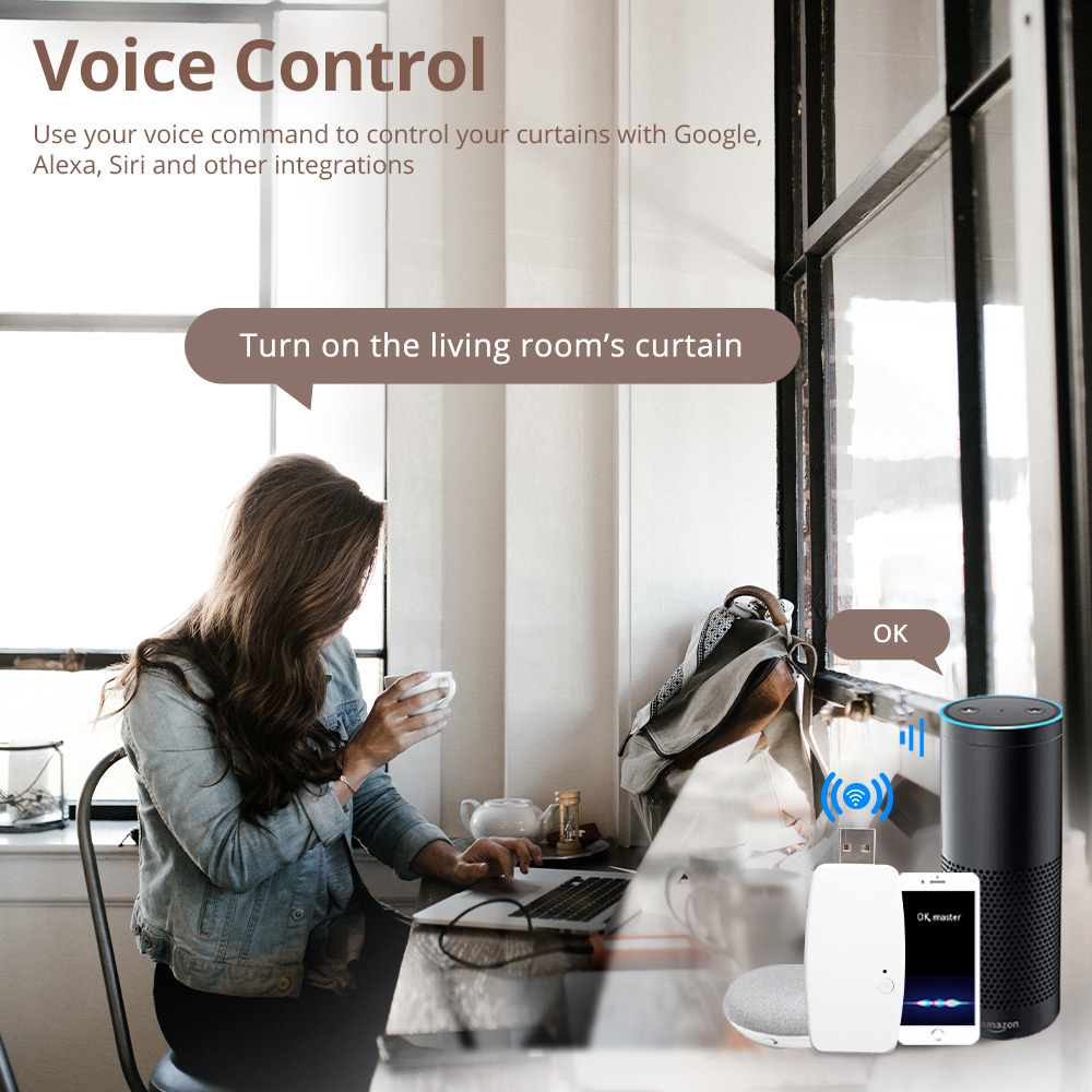 Zemismart WiFi Smart Curtain Driver Robot For Roman Rod I Type Curtains Track works with Tuya Smart Life Alexa Google Home Voice Control