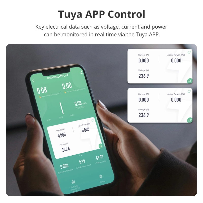 Zemismart Zigbee 2 Phase Smart Energy Meter Max 120A with 2 clamps works with Tuya measuring Alarm function Monitor 110v-240v