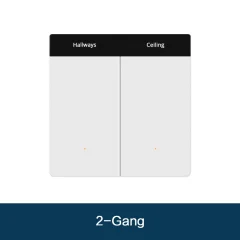 2 gang