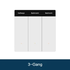 3 gang