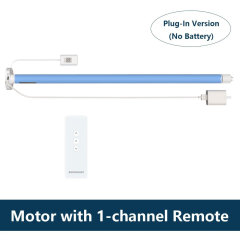 Motor with 1 channel remote