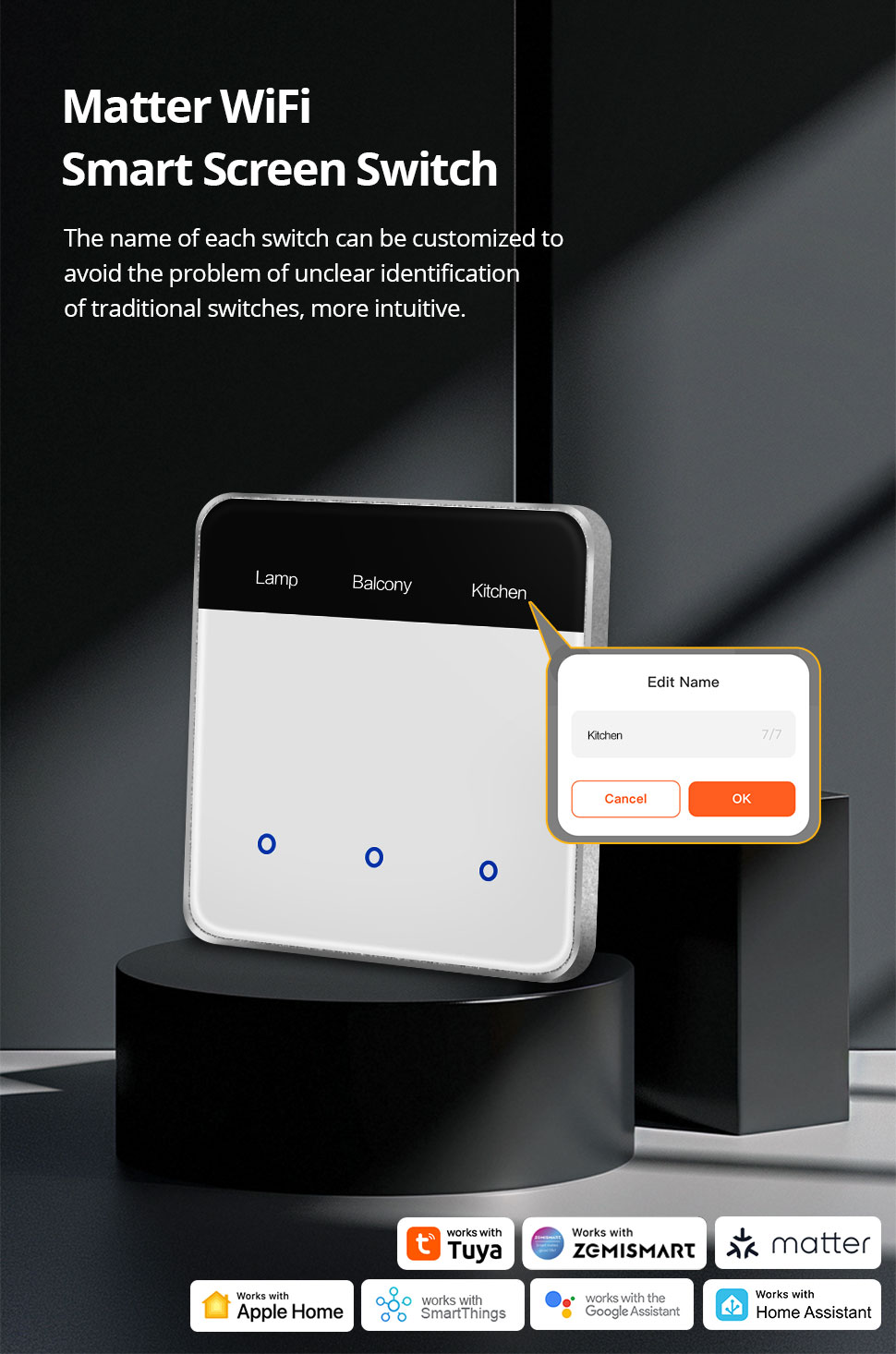 Zemismart Matter over Wifi Smart Home Products DIY Name Switch
