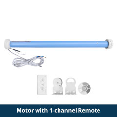 Motor with Remote1