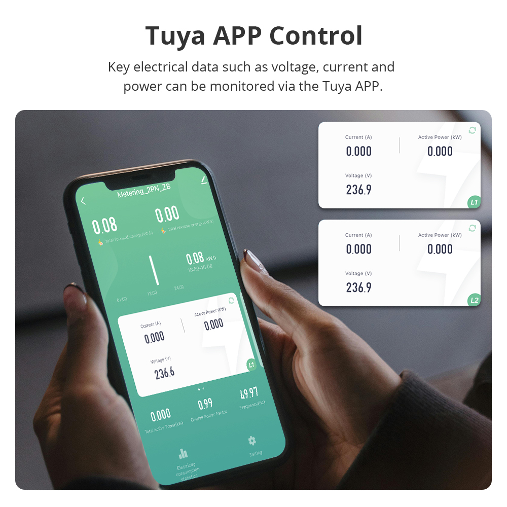 Zemismart Zigbee 2 Phase Smart Energy Meter Max 120A with 2 clamps works with Tuya measuring Alarm function Monitor 110v-240v