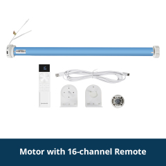 Motor with Remote