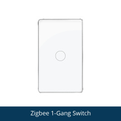 1 gang with Metering