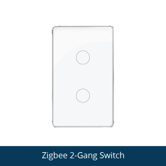 2 gang with Metering