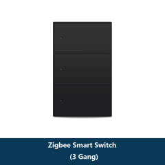 Black 3-Gang