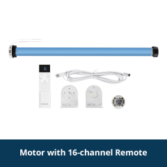 motor with 16 channel remote