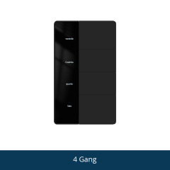 black 4 gang