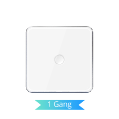 white 1 gang