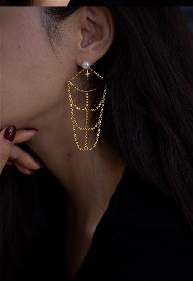 Original Design Net Starlight Pearl Gold Plated Earrings Women's Elegant High-End Feel New Style Fashion Jewelry Accessories
