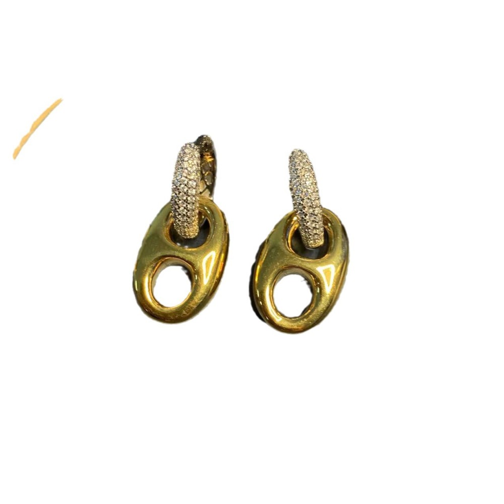 Gold Plated Pig Nose Earrings Women's Set Exaggerated Ear Jewelry Oval Necklace Delicate Clavicle Chain Simple Style Accessories