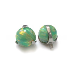 Titanium True Color-OP21