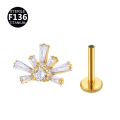 Fireworks Gold and White