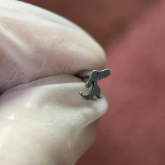 D. Dachshund (4.83*5.98mm)