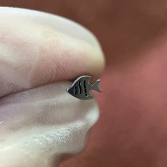 N. Tropical Fish (3.47*5.34mm)