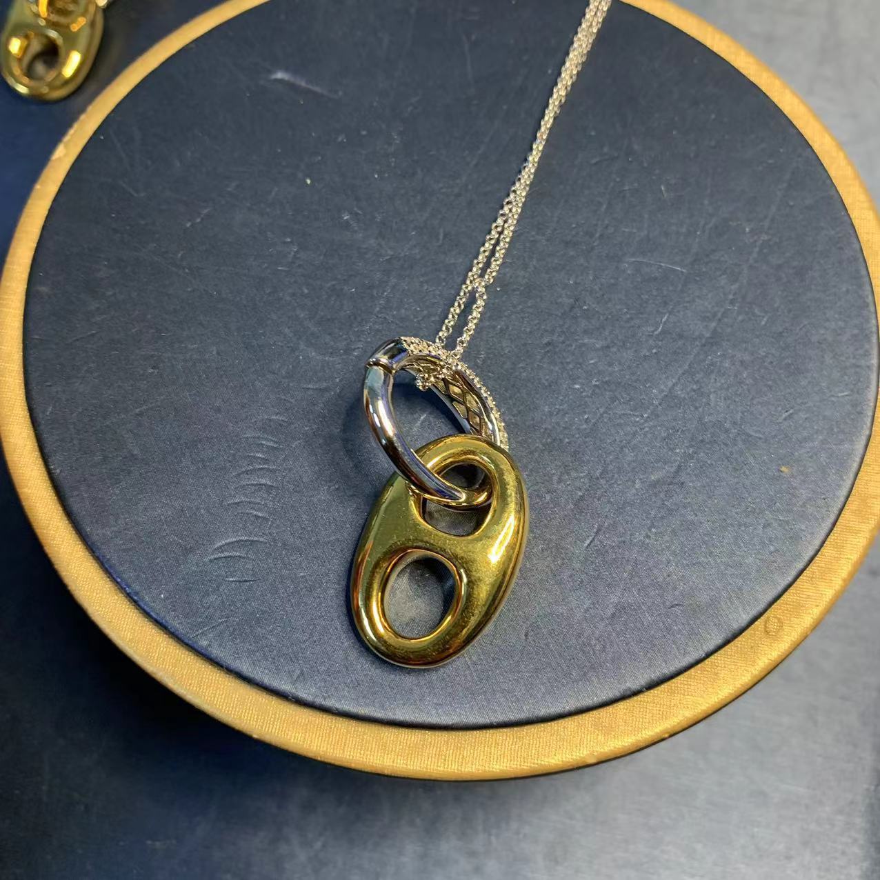 Gold Plated Pig Nose Earrings Women's Set Exaggerated Ear Jewelry Oval Necklace Delicate Clavicle Chain Simple Style Accessories