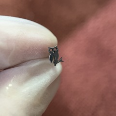 B. Owl (5.67*3.73mm)