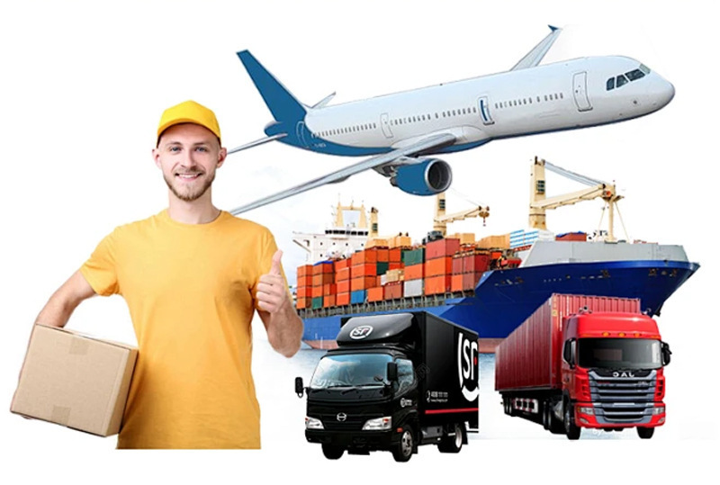 Star And Conch Shell Pendant Women's Necklace Simple Design Summer Vacation Jewelry Accessories Silver Year Gold