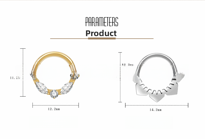 Fashion Titanium Alloy Nose Ring Jewelry For Women Luxurious Simple Personality G23 Earrings Lip Ring Piercing Accessories
