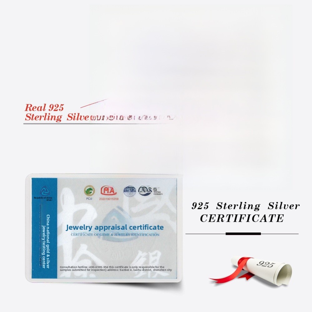 925 Sterling Silver Silver Pendant Necklace For Women December Birthstone Geometric Enamel Charm Jewelry Accessories