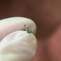 A. Small Mi (4.34*5.78mm)