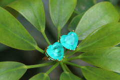 Ear Studs