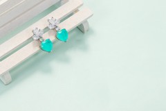 Ear Studs