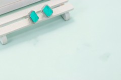 Ear Studs