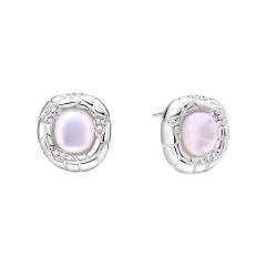 Snake Pattern Auspicious Earrings + S925 Silver Needle