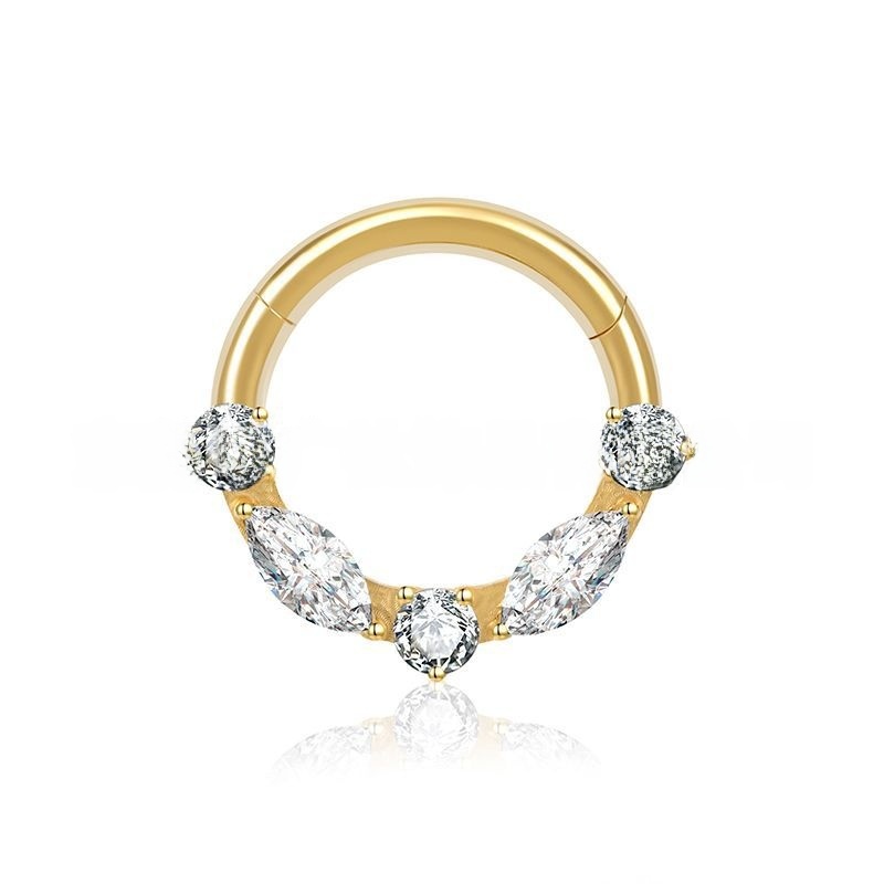 Fashion Titanium Alloy Nose Ring Jewelry For Women Luxurious Simple Personality G23 Earrings Lip Ring Piercing Accessories