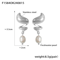F1584-Steel Earrings Ke64633-K