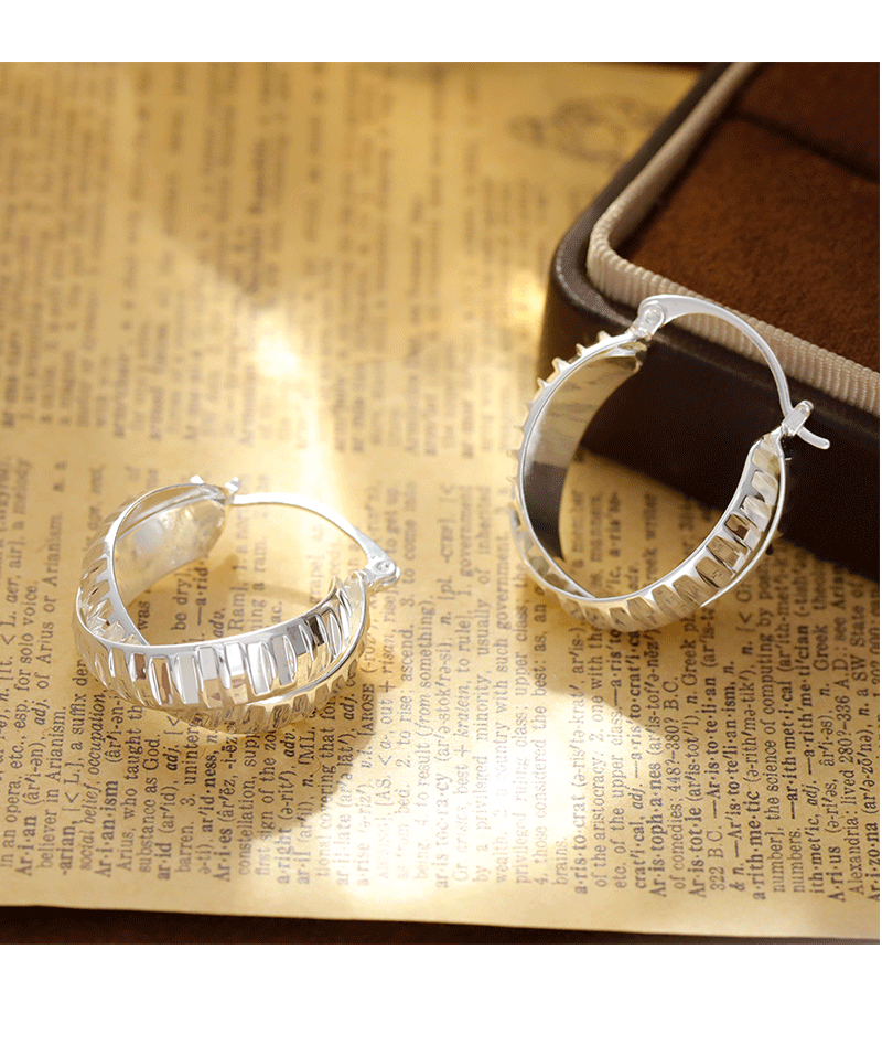 Trendy Unique Metal Hoop Earrings  Style Personality Fashion Geometric Pattern Women's Jewelry Accessories