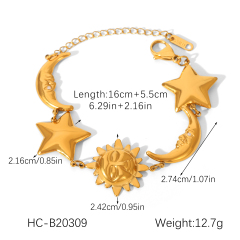 HC-B20309