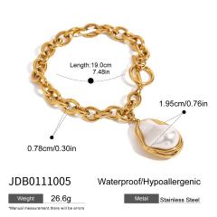 Jdb0111005