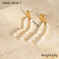 NMSE-B546-1