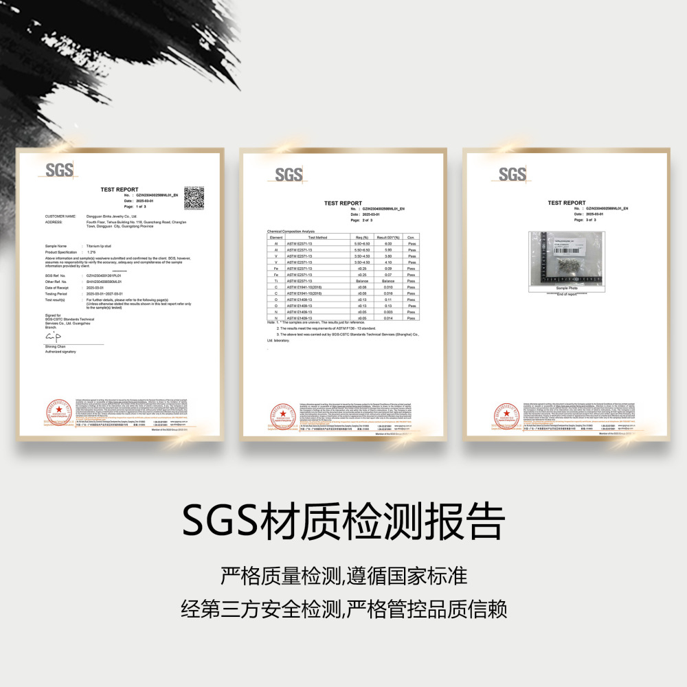 Titanium Alloy Bullet Head Internal Thread Piercing Ear Bone Stud Eyebrow Stud Lip Stud Accessories Geometric Pattern Simple Style Pack Of 10 Unisex