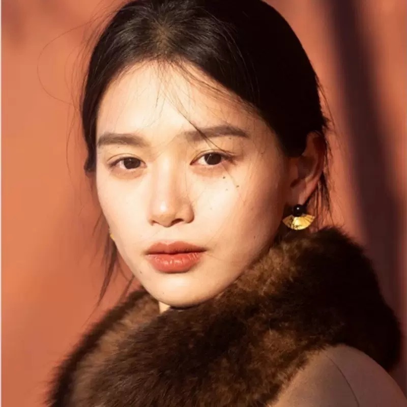 New Chinese Style Black Ink Earrings Retro Palace Series Fashionable High-End National Trend Women's Ear Jewelry Accessories