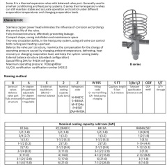 Emerson Thermostatic Expansion Valve, bidirectional, BAE5HCA, BAE6HCA, BAE3, 4HCA air source.