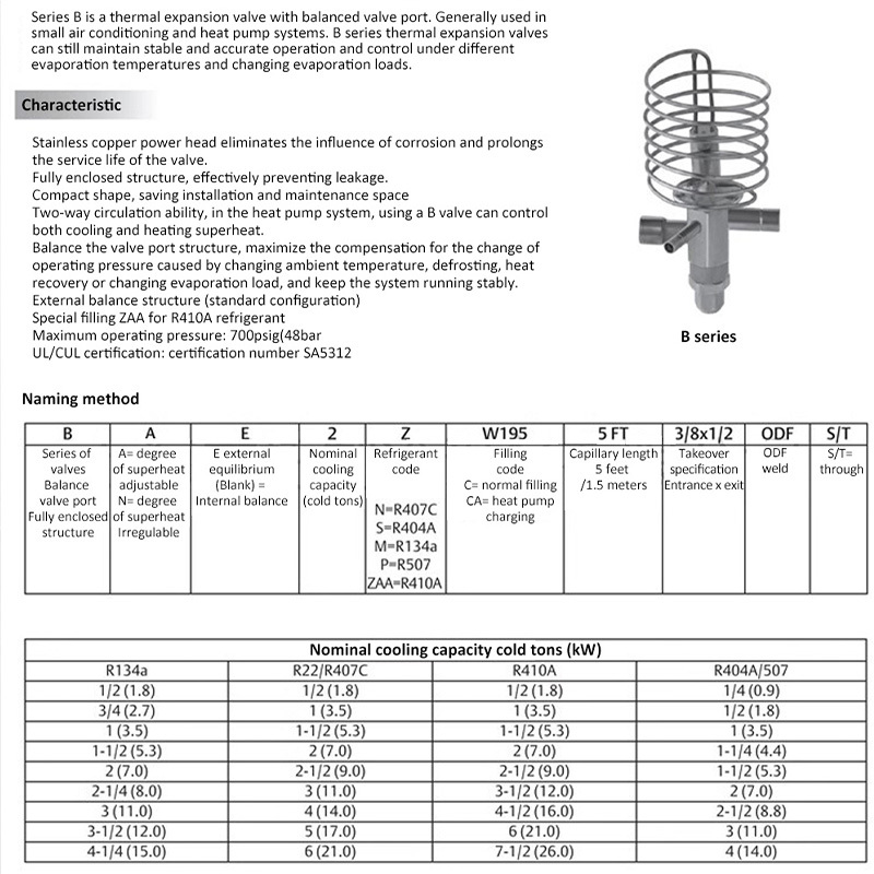 Emerson Thermostatic Expansion Valve, bidirectional, BAE5HCA, BAE6HCA, BAE3, 4HCA air source.