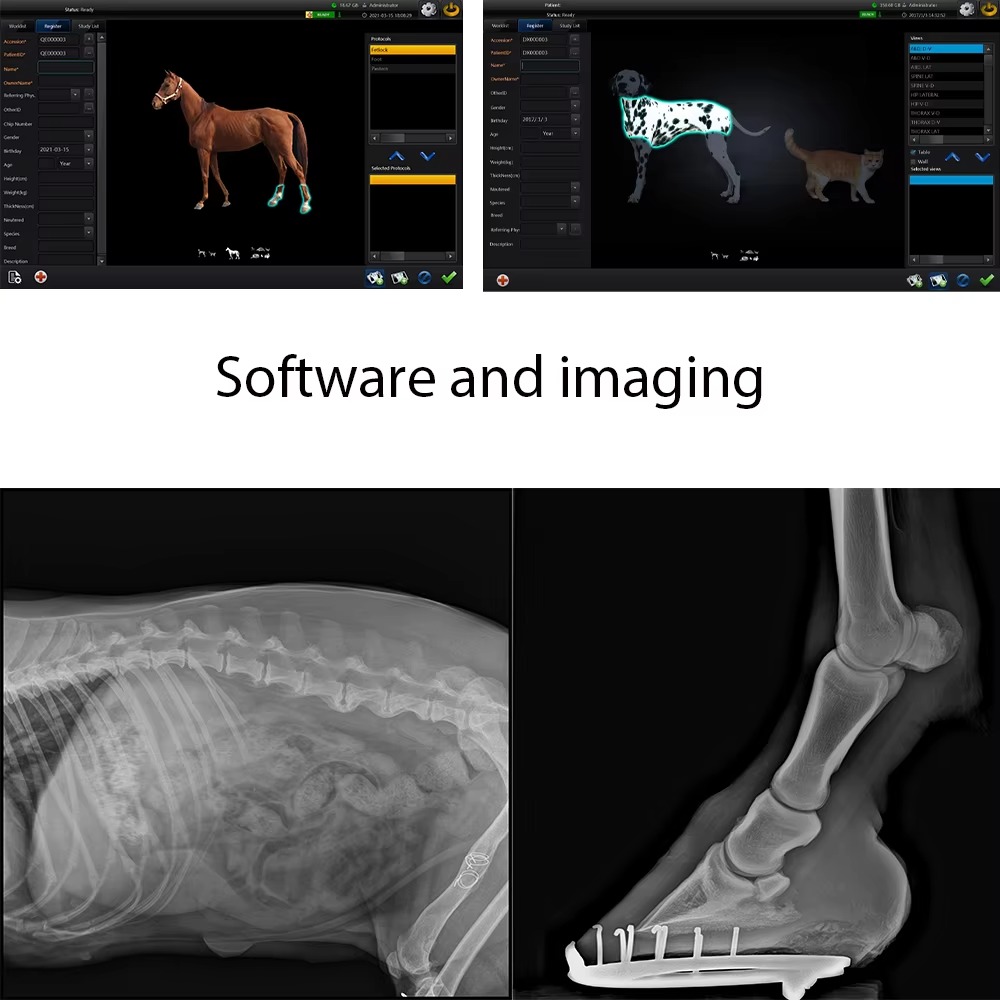 Wired / Wireless Flat Panel Detector BX3543Z X-ray Detector