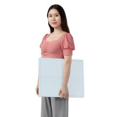 1417in Flat Panel Detector (Wired & Wireless) BX1417FPD