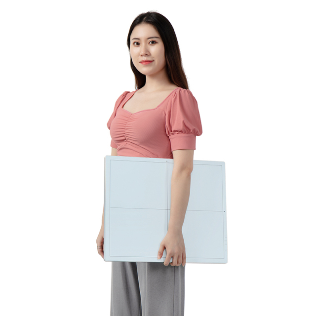 1717in Flat Panel Detector (Wired & Wireless) BX1717FPD