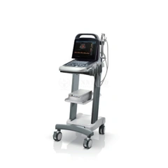 Portable Full Digital Ultrasound Device Original Mindray DP-30 BW Mindray DP 30 Ultrasound Machine