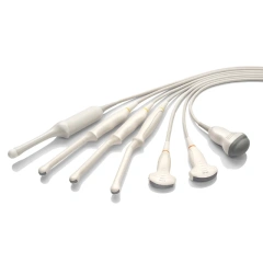 Human Use Mindray DP10 Medical BW Ultrasound Instruments Black and White Ultrasound Machine Price Portable Veterinary Scanner