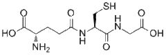 Glutathione 谷胱甘肽