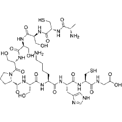 Transdermal Peptide 透皮短肽