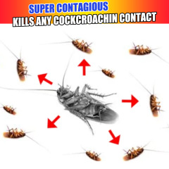 Jue-Fish Cockroach bait