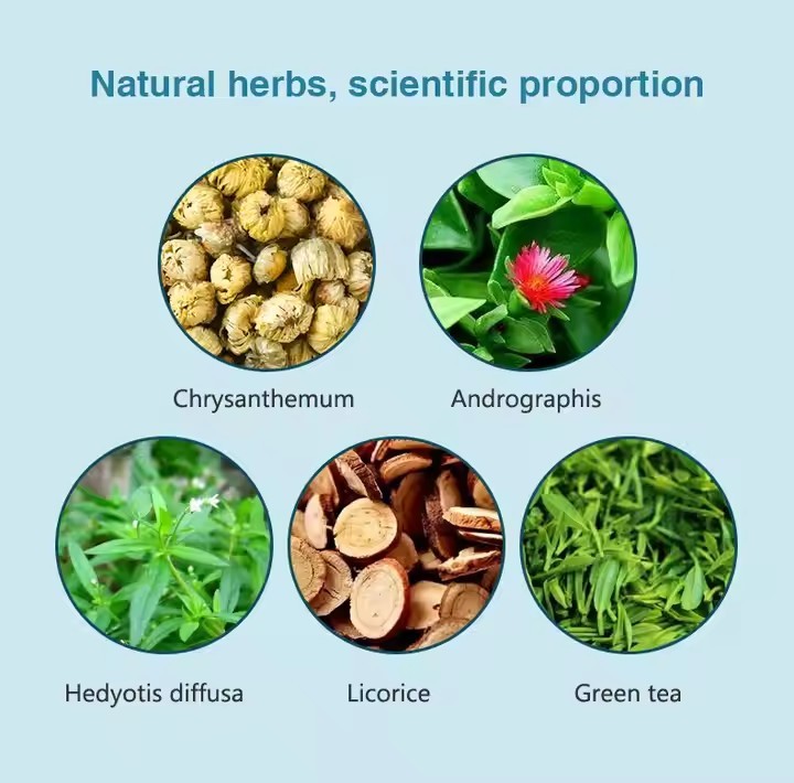 Custom Organic Green Tea in Boxed Bagged Form Relaxing Herbal Blended Health Tea Envoy Wholesale